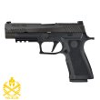 画像1: PARA BELLUM X-FULL 4.7 inch GBB (1)