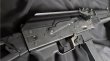 画像3:  PRO PP-19-01 Vityaz GBB  SMG Rifle (予約) (8月入荷予定) (3)