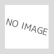 画像4: SIG AIR P320 - M17 (BK) (4)